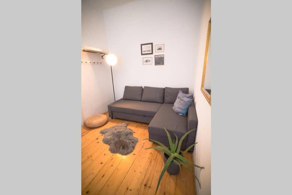 Cosy And Spacious Apartment In The Heart Of İnnsbruck Dış mekan fotoğraf